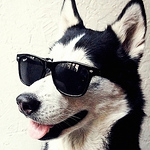 Profile Picture of Martin Newham (@S'mart) on Flickr