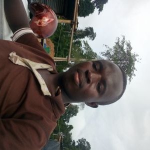 Profile Picture of Daniel Dison (@DanielDison2) on Twitter