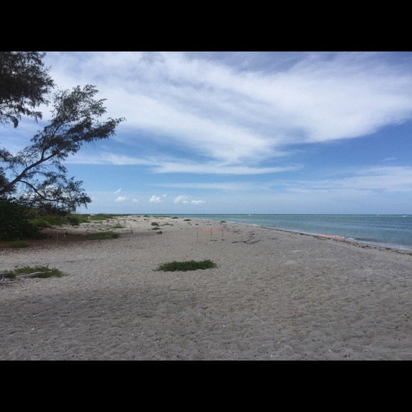 Profile Picture of David Zinneman (@dzinneman) on Poshmark