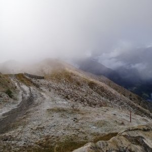 Profile Picture of Basil Hildebrand (@HildebrandBasil) on Twitter