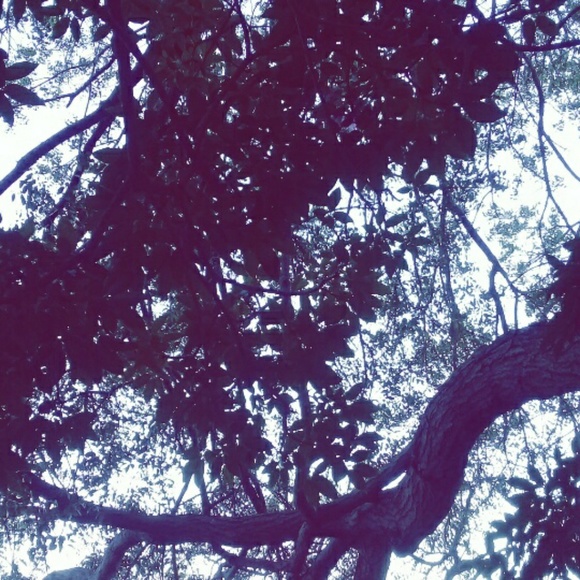 Profile Picture of Quirina Nicolaas (@qunico) on Poshmark