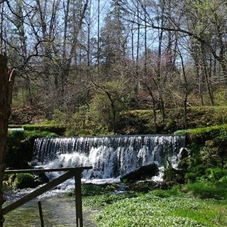 Profile Picture of Christa Griffen (@christa.griffen) on Facebook