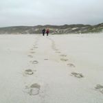 Profile Picture of Richard (@richard.kohler) on Instagram