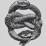 Profile Picture of Matthew Seigler (@thebarbellsocialclub) on Instagram