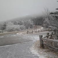 Profile Picture of Lori Whitfield (@lori-whitfield) on Quora