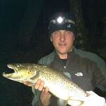 Profile Picture of Steven Gumma (@gummasteven) on Instagram