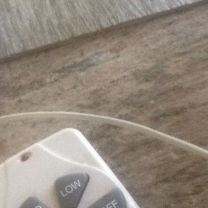 Profile Picture of Trey Morrison (@tmorrison0591) on Myspace