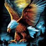 Profile Picture of Luc Poulin (@luc.poulin.98) on Instagram