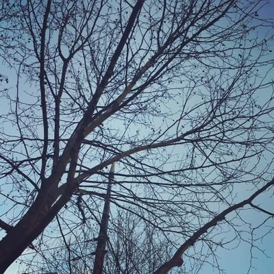 Profile Picture of Oscar Liu (@oscarliu13) on Twitter