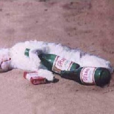 Alberto Ramón - Twitter Profile Picture of Alberto Ramón (@Albert_ramon1) on Twitter