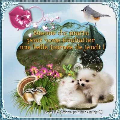 Profile Picture of Boulanger Patricia (@BoulangerPatr20) on Twitter