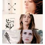 Riserva Di Teenwolf_allisaac - Instagram Profile Picture of Riserva Di Teenwolf_allisaac (@teenwolf_allisaacvideo) on Instagram