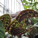 Profile Picture of Jasmine Haghighi (@jasmine haghighi) on Flickr