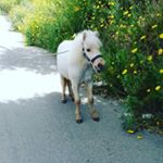 Joseph Naso - Instagram Profile Picture of Joseph Naso (@nasojoseph55) on Instagram