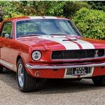 Profile Picture of Matthew Stepien (@mcstepien) on Instagram