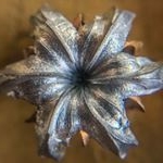 Profile Picture of Jeremy Wyckoff (@pullbangshit) on Instagram