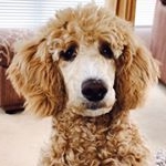 Profile Picture of Maxine O (@magicmonkey75) on Instagram