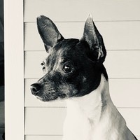Profile Picture of Cassandra Gardner  (@cassandra-gardner-20) on Quora