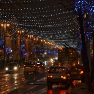 Profile Picture of Ami Moore (@Mushroom_Ami) on Twitter