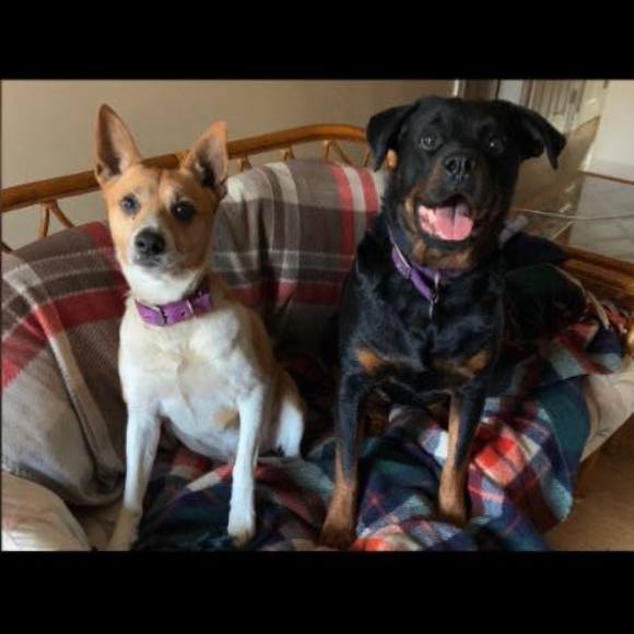 Profile Picture of James Tomasso (@jamestom380) on Poshmark