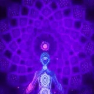 Profile Picture of Cassandra Saifer Wenzel (@wenzelcassandra) on Instagram