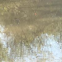 Profile Picture of Sean Bryer (@sean-bryer-2) on Quora