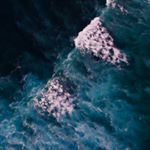 Profile Picture of Matthew Leidholm (@808hawaii_nature) on Instagram