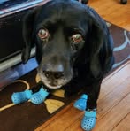 Profile Picture of Marjorie Connors (@marjorie.foley.7) on Facebook