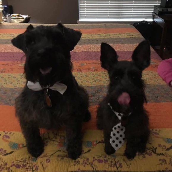 Profile Picture of Chris Everhart (@wiresedge1) on Poshmark