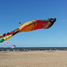 Frank Mink - Twitter Profile Picture of Frank Mink (@frankmink) on Twitter