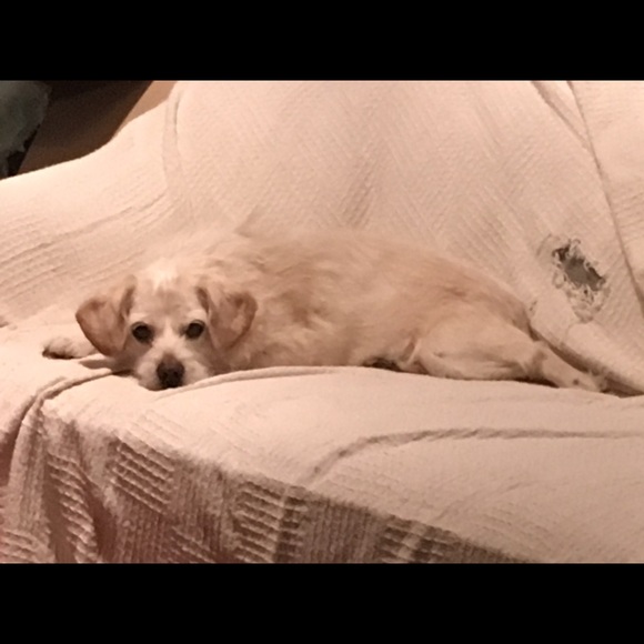 Profile Picture of Megan Cogswell (@mel2f) on Poshmark