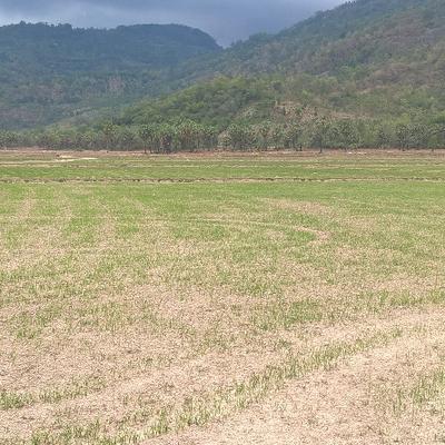 Profile Picture of Nguyen Minh Vuong (@NguyenvuongMinh) on Twitter