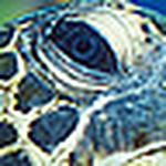 Profile Picture of Greg Snyder (@Rus7yTr0mbone) on Flickr