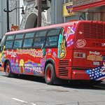 Profile Picture of Ivy Wallace (@ivywallace) on Instagram