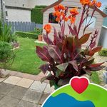 Profile Picture of Joyce Conlon (@joyce.conlon.71) on Instagram