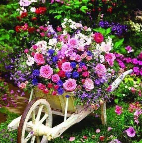 Profile Picture of Glenda Wilkins (@gwilkins5139) on Poshmark