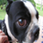 Profile Picture of Juan Jose  Arias Suarez (@juanjose994) on Flickr