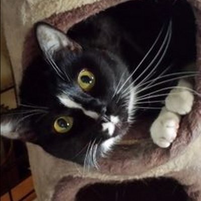 Profile Picture of Chris Taylor Jolly (@TheChrisJolly) on Twitter