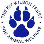Profile Picture of Kit Wilson Trust (@kitwilsontrust) on Instagram