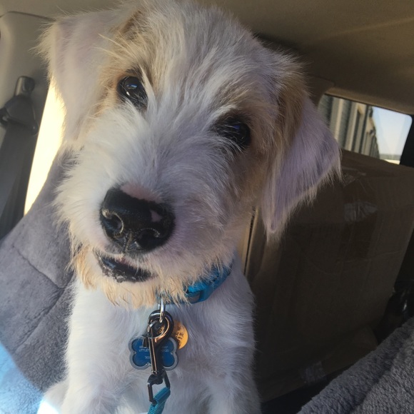 Profile Picture of Beth Matthews (@bethywall) on Poshmark