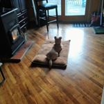 Profile Picture of James Girardi (@girardi1350) on Instagram