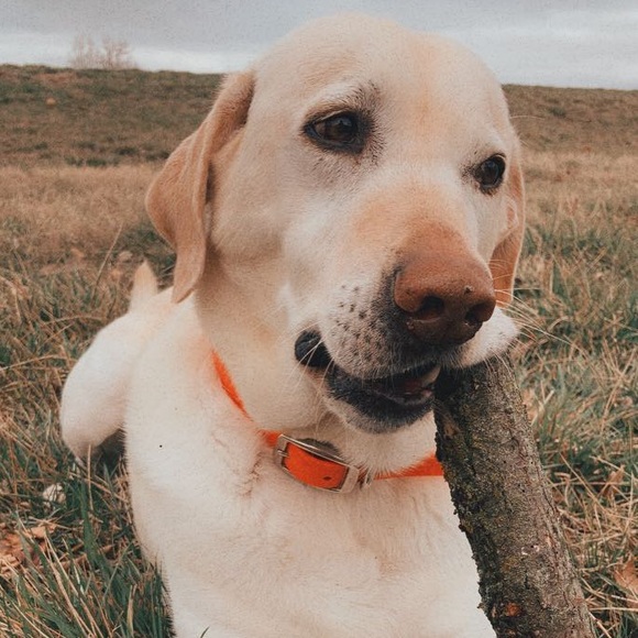 Profile Picture of John Swinford (@swinfordj) on Poshmark