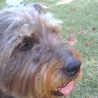 Profile Picture of Russell Yoon (@russell-yoon-3) on Quora