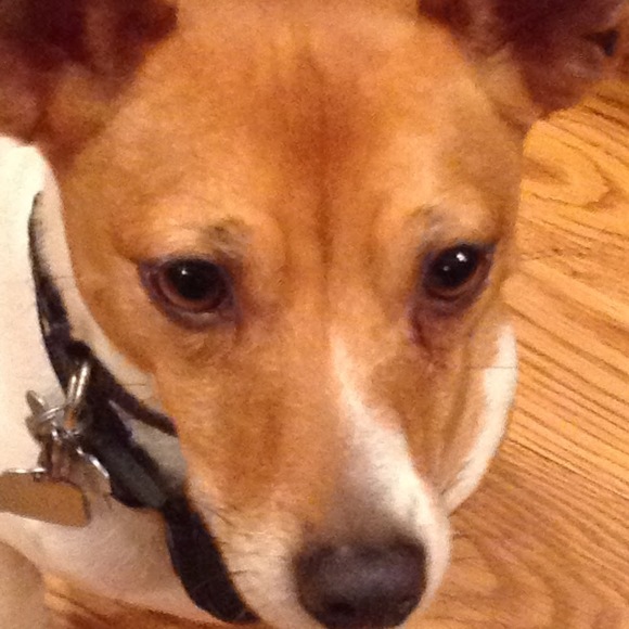 Profile Picture of Rebecca Hannaman (@rhannaman136) on Poshmark