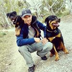 Profile Picture of Ray Sullivan (@outdoor.dogs) on Instagram
