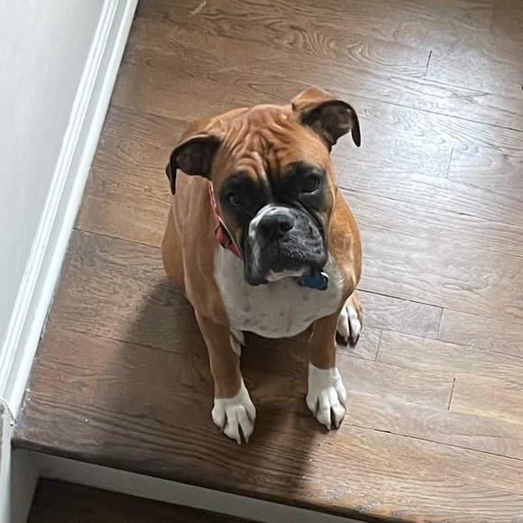 Profile Picture of Christian Gaudioso (@tikikona) on Poshmark