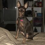 Profile Picture of Leo Nerso Corson (@leocorson) on Instagram