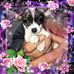 Profile Picture of Steven Hebner (@steven.hebner.5) on Facebook