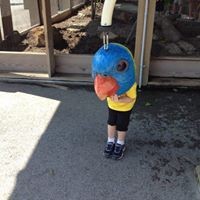 Profile Picture of Nancy Bechtel (@nancy-bechtel-1) on Quora