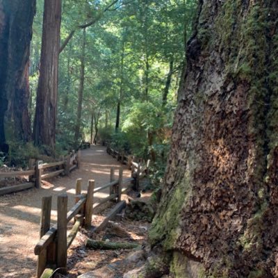 Profile Picture of Stella Harper (@StellaH17369855) on Twitter